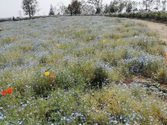 -李先生的首尔小馆(松江启源广场店)