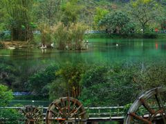 -靖西鹅泉风景区
