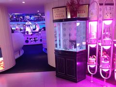 -巴特餐饮6加1音乐餐吧·新疆菜