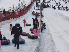 -沈阳奥体冰雪嘉年华