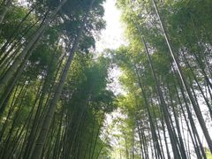 -玉女潭景区