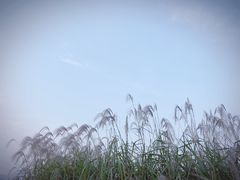 -良渚古城遗址公园