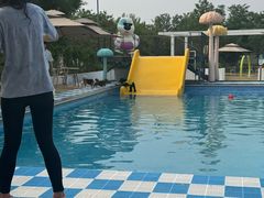 -爪吧宠物乐园 (温榆河示范区店)