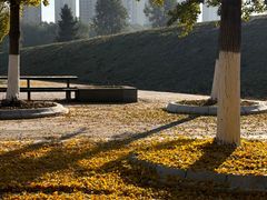 -长白岛森林公园