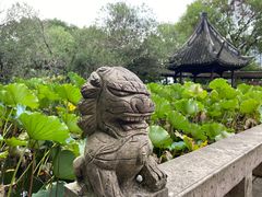 -上海醉白池公园