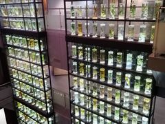 -广东中医药博物馆
