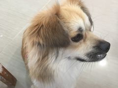 -馆陶手作坊DIY·陶艺·石塑粘土·石膏娃娃(车陂店)