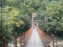 -燕子河大峡谷天坑仙境