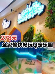 -七巧国萌宠乐园(龙湖天街店)