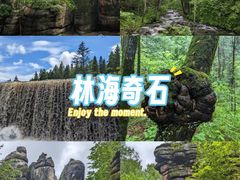 -汤旺河林海奇石景区