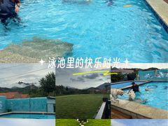 -趣玩宠物乐园寄养训犬训狗游泳池