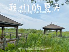 -呼兰河口湿地公园
