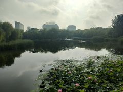 -满都海公园
