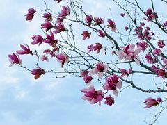 -浦口码头(轮渡站)