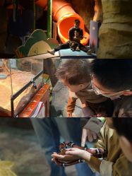 -酷嗒动物文化乐园(cutezoo西溪乐天城店)