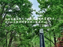 -青龙山国家森林公园