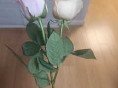 -FEI FEI FLOWER鲜花店·气球派对·宝宝宴布置(虹口德必运动Loft店)