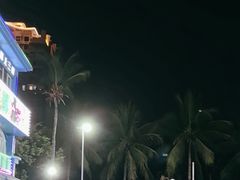 -小海豚·老字号海鲜餐厅(三亚湾店)