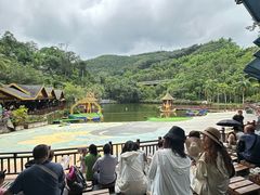 -西双版纳原始森林公园