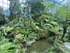 -东莞植物园