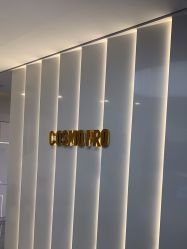 -COSMO PRO造型