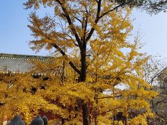 -大觉寺-停车场
