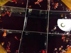 蜀九香火锅酒楼(彩虹店)-蜀九香火锅(彩虹店)