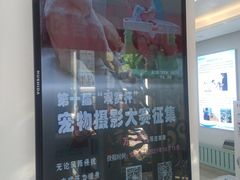-北京观赏动物医院·24小时大型综合·猫专科·异宠专科
