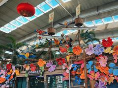 -南宫五洲植物乐园