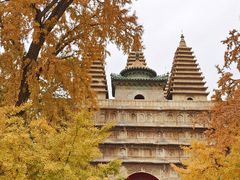 -北京石刻艺术博物馆(五塔寺)