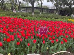 -玄武湖景区-情侣园游乐场