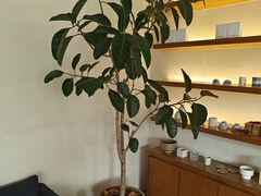 -日出青木·杭帮菜名店