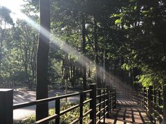 -广州市帽峰山景区