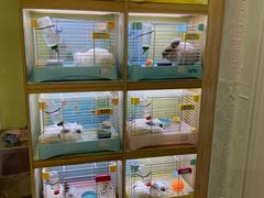 -宠物兔专门店(天丰利市场店)