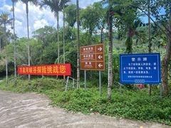 -万泉河漂流