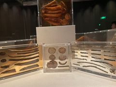 -金沙遗址博物馆