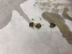 -北戴河庆山饭店·海鲜砂锅粥(北戴河黑石路店)