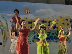 -东南花都花博园