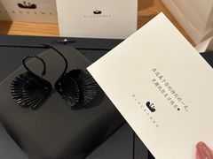 -BLACKSWAN黑天鹅(环球店)