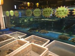-大张烙馍村(三环南路旗舰店)