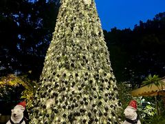 -火车头法国西餐厅