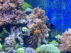 -珠海长隆海洋王国