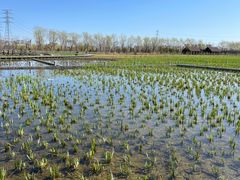 -永定河休闲森林公园