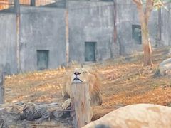 -泉州海丝野生动物世界