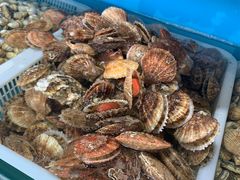 -港畔赶海蒸汽海鲜烧烤自助(仙螺岛店)