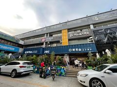 -野萃山·潮汕厚果汁(十亩地店)