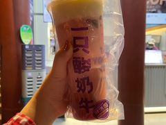 只只酸奶牛-八一路好吃街(雨田商务大厦店)