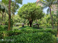 -三亚湾海居铂尔曼度假酒店