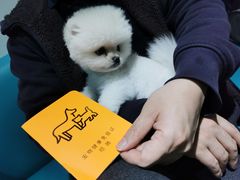 -瑞派申生动物医院·24H夜诊·国际动物医疗中心·骨外科(吴中路店)