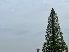-洪泽湖古堰景区